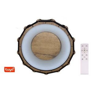 Kulaté svítidlo s dřevěným obložením SMART Tuya 40 cm 32W CCT provedení povrchu: dub B